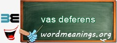 WordMeaning blackboard for vas deferens